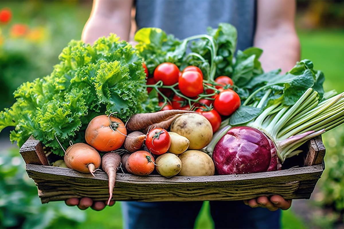 panier de légumes