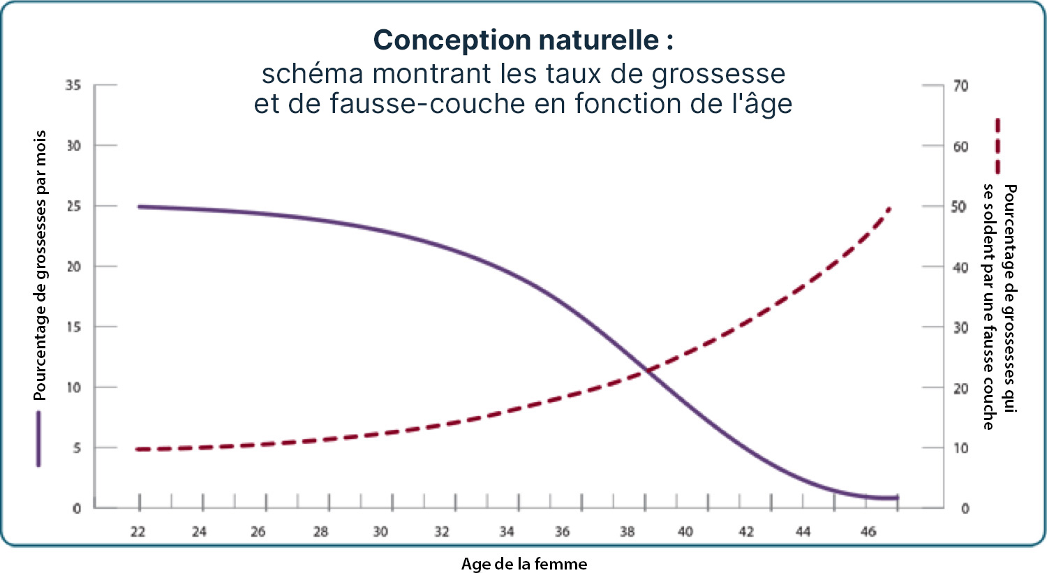 schéma de la conception naturelle